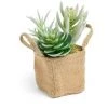 Kave Home - Mélanger Des Plantes Suculenta Artificielles Dans Un Pot De Raphia Naturel - Naturel 1 Kave Home - Mélanger Des Plantes Suculenta Artificielles Dans Un Pot De Raphia Naturel - Naturel -KAVE HOME Soldes 2022 12436338 1