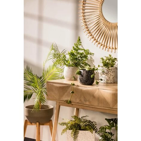 Kave Home - Pot De Fleurs Braydon En Terrazzo Blanc Ø 15 Cm - Blanc 4 Kave Home - Pot De Fleurs Braydon En Terrazzo Blanc Ø 15 Cm - Blanc – Image 2