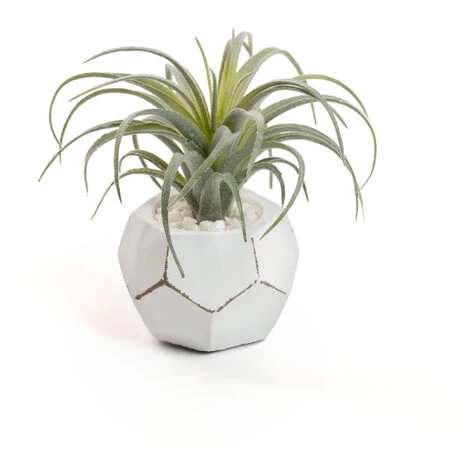 Kave Home - Plante Artificielle Tillandsia - Blanc 3 Kave Home - Plante Artificielle Tillandsia - Blanc