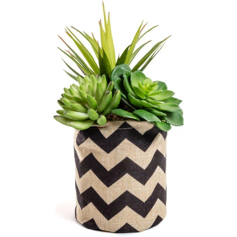 Kave Home - Mélanger Des Plantes Suculenta Artificielles Dans Un Pot De Raphia Naturel Et Noir - Naturel 4 Kave Home - Mélanger Des Plantes Suculenta Artificielles Dans Un Pot De Raphia Naturel Et Noir - Naturel – Image 2