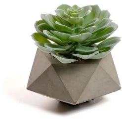Kave Home - Plante Artificielle Echeveria Glauca - Gris
