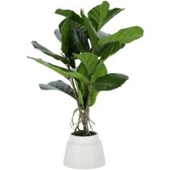 Kave Home - Plante Artificielle Lyrata De 60 Cm - Vert
