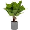 Kave Home - Plante Artificielle Anthurium De 50 Cm - Vert -KAVE HOME Soldes 2022 26696411 1