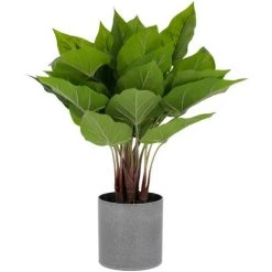 Kave Home - Plante Artificielle Anthurium De 50 Cm - Vert