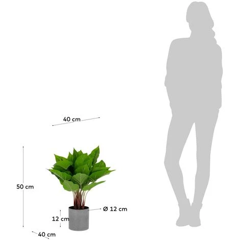 Kave Home - Plante Artificielle Anthurium De 50 Cm - Vert 5 Kave Home - Plante Artificielle Anthurium De 50 Cm - Vert – Image 3
