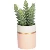 Kave Home - Plante Artificielle Sedum Lucidum En Pot En Céramique Rose - Rose 1 Kave Home - Plante Artificielle Sedum Lucidum En Pot En Céramique Rose - Rose -KAVE HOME Soldes 2022 49719760 1