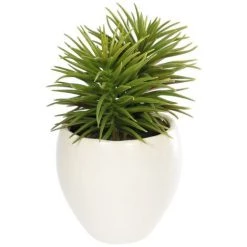 Kave Home - Plante Artificielle Pino Avec Pot En Céramique Blanc 16 Cm - Blanc