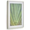 Kave Home - Tableau Lyn En Bois Blanc Aloe Vera Vert 50 X 70 Cm 1 Kave Home - Tableau Lyn En Bois Blanc Aloe Vera Vert 50 X 70 Cm -KAVE HOME Soldes 2022 51186428 1