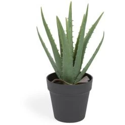 Kave Home - Plante Artificielle Aloe Vera Avec Pot Noir 36 Cm - Noir