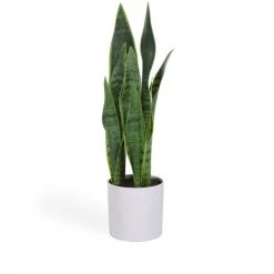 Kave Home - Plante Artificielle Sansevieria Avec Pot Blanc 55 Cm - Blanc