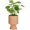 Kave Home - Plante Artificielle Bailey Avec Pot En Céramique Rose Nude 21,6 Cm - Rose -KAVE HOME Soldes 2022 56639743 1