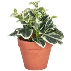 Kave Home - Plante Artificielle Aucuba - Marron